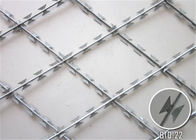 Maglia galvanizzata del recinto/rasoio della maglia del filo di acciaio che recinta resistenza della corrosione